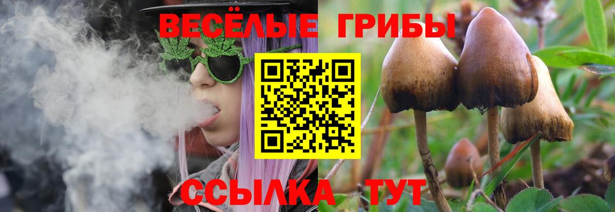 Галлюциногенные грибы мицелий Волжск